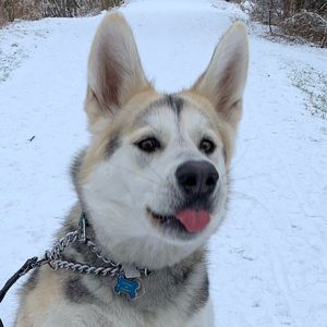 Meet your Posher, Jay